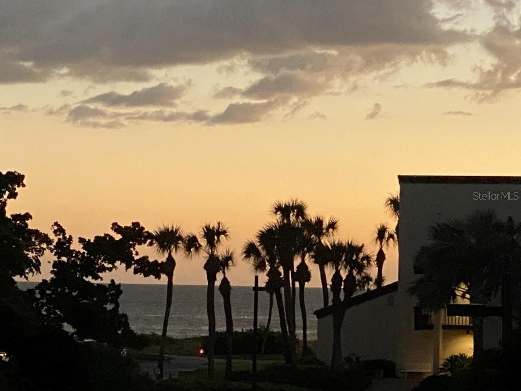 Photo #18