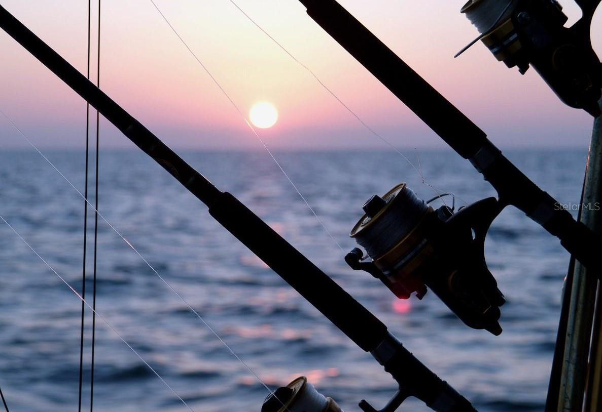 Photo #37