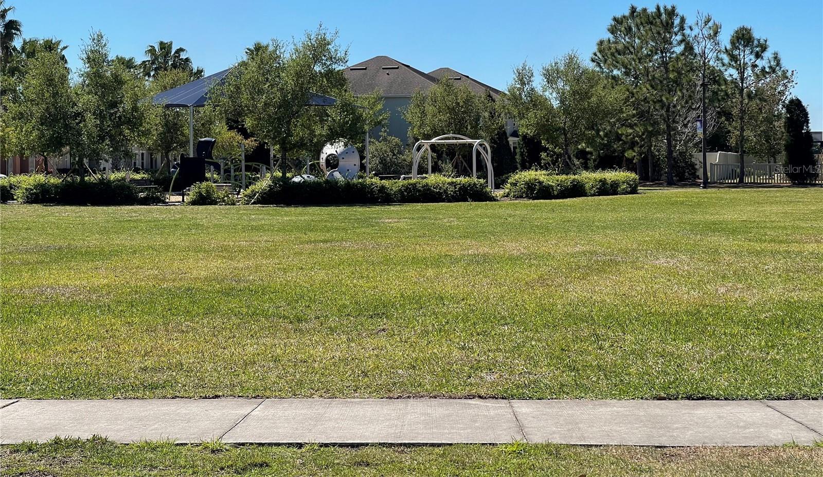 Photo #41