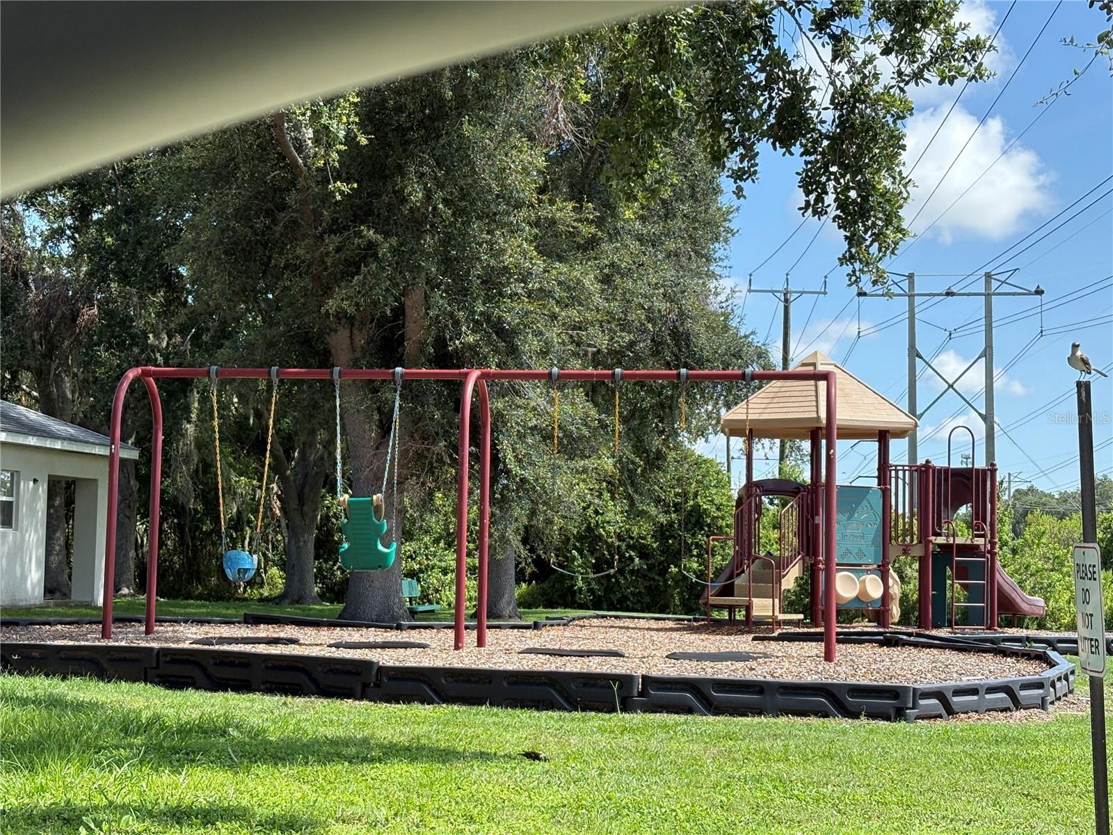 Photo #43