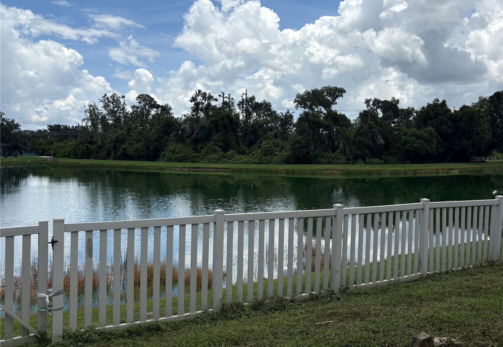 Photo #46