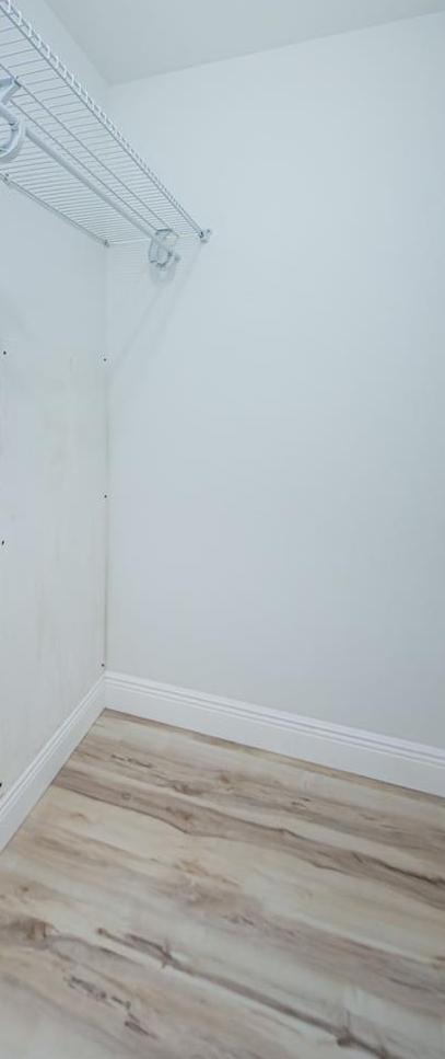Photo #21