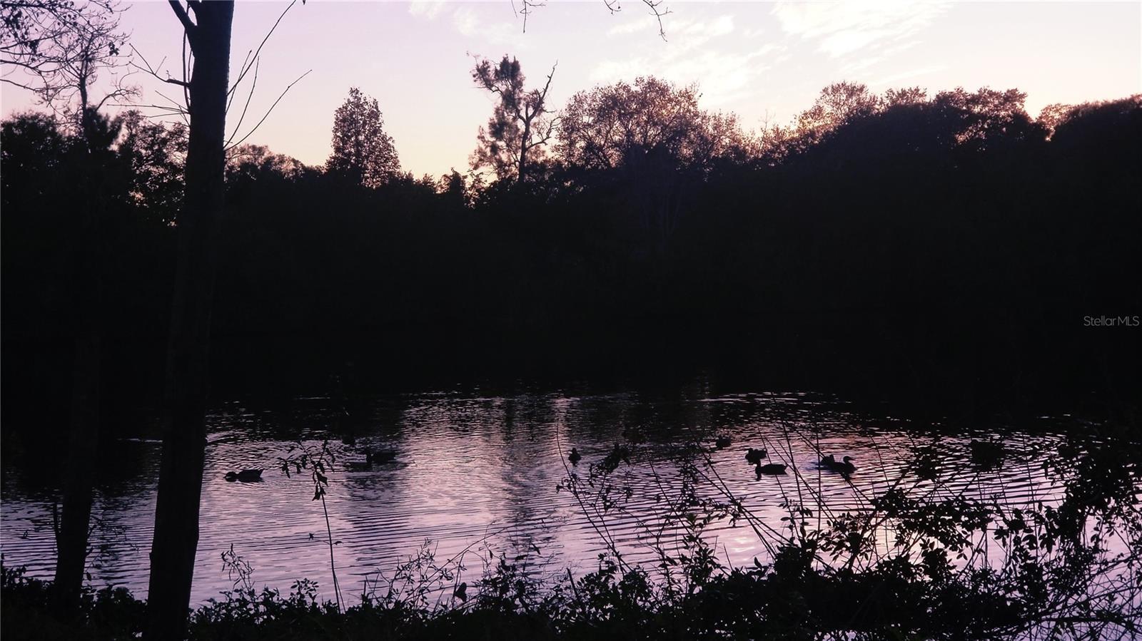 Photo #25