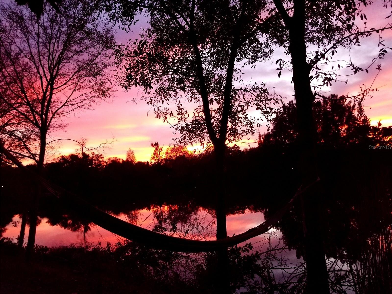 Photo #24
