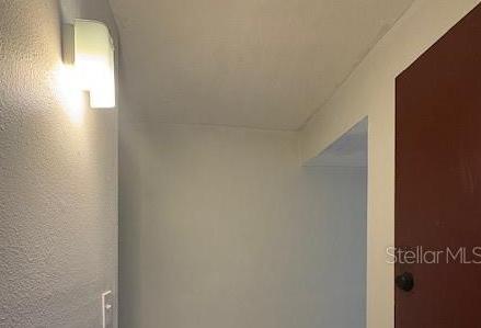 Photo #3
