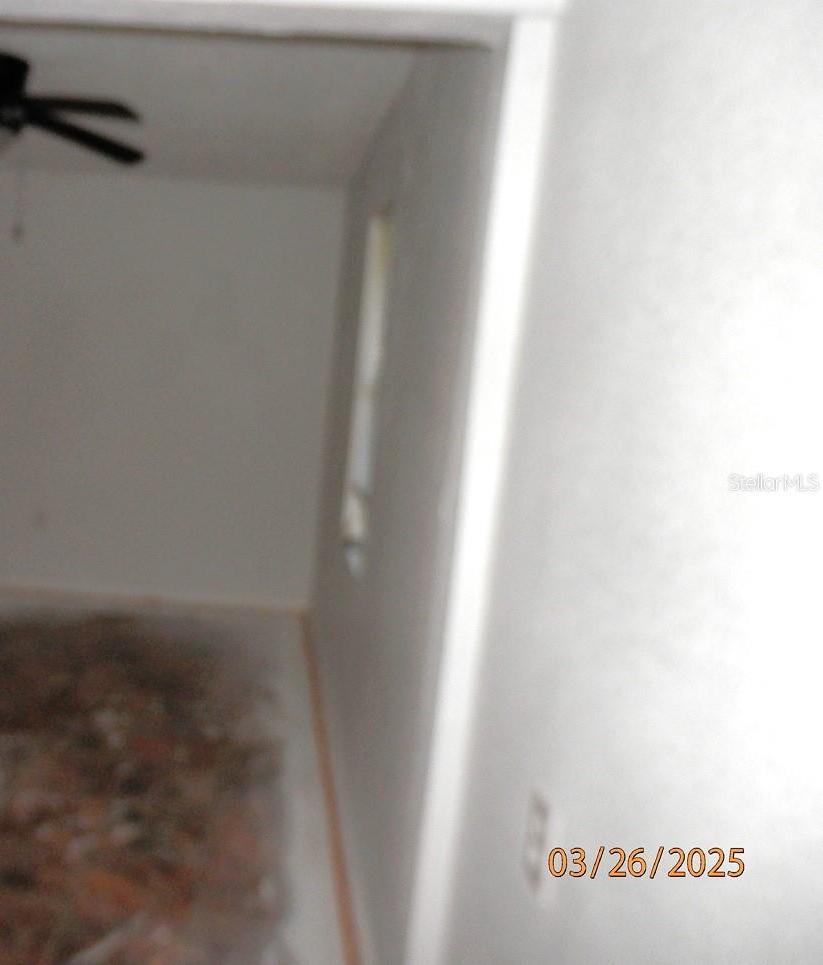 Photo #34