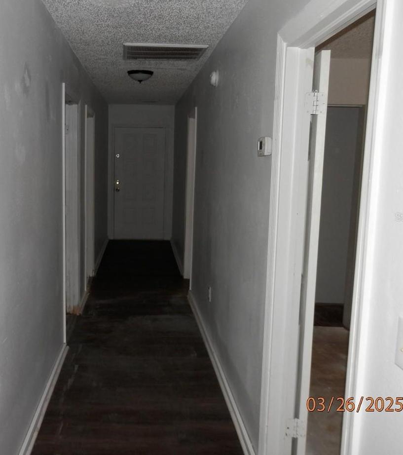 Photo #24