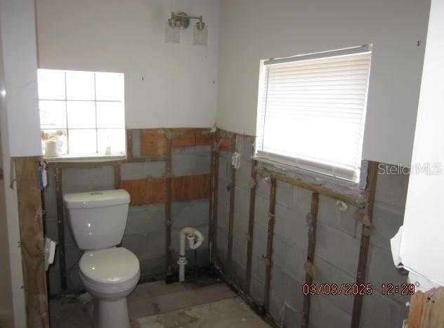 Photo #42
