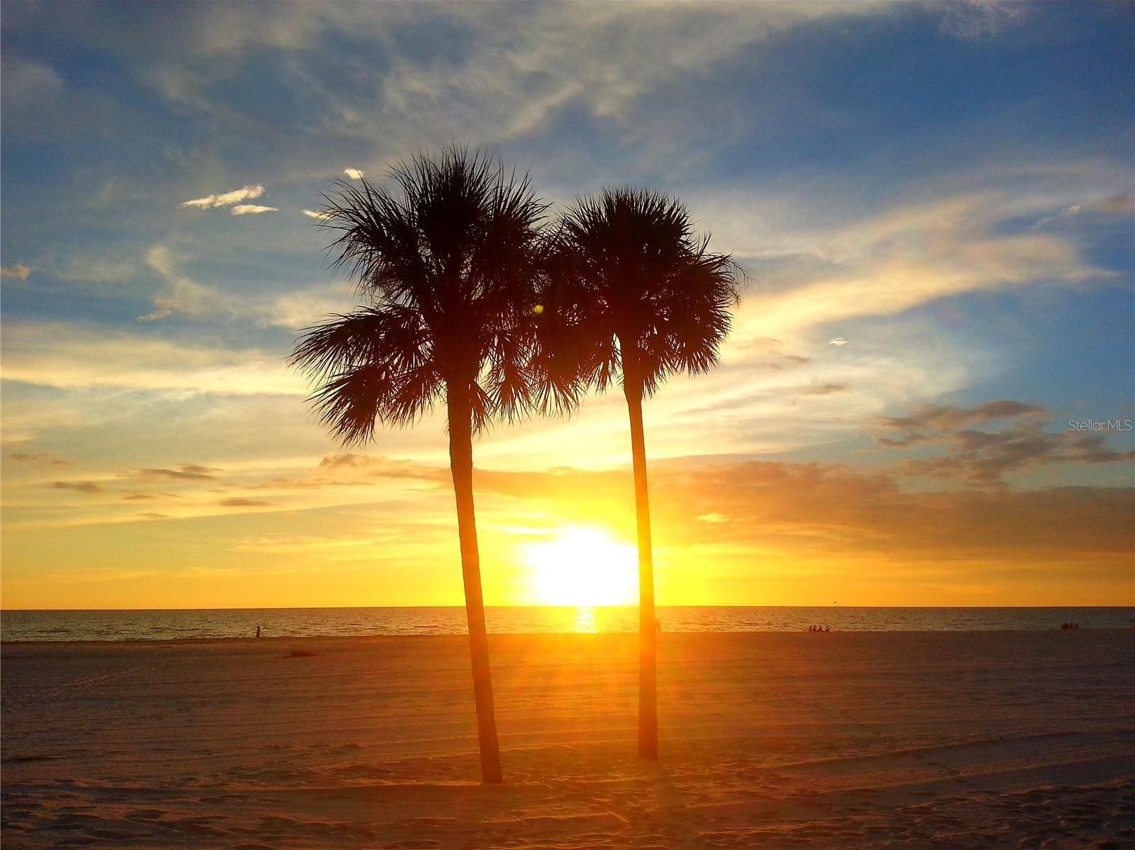 Photo #39