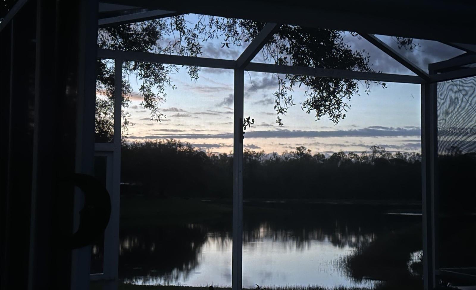 Photo #38