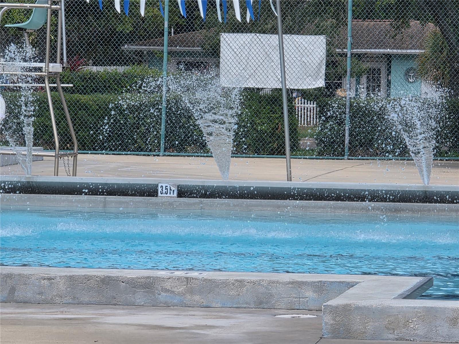 Photo #15