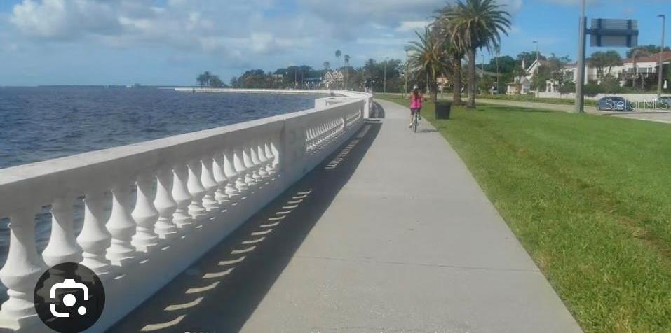 Photo #15