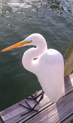 Photo #24