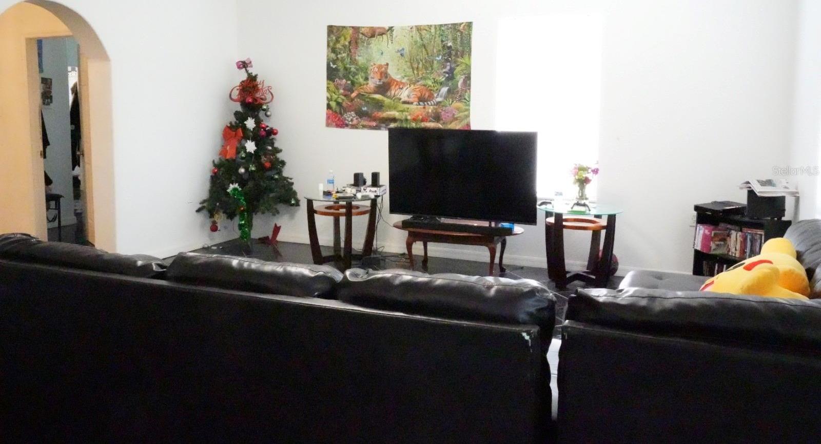 Photo #13