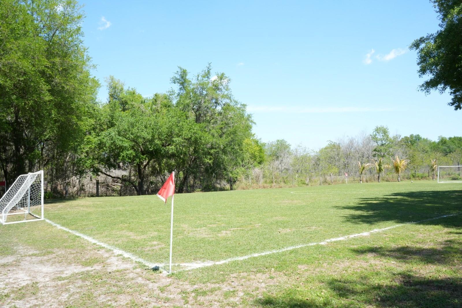 Photo #5