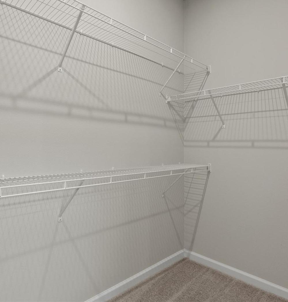 Photo #10