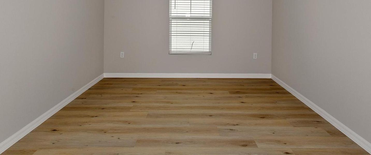 Photo #13