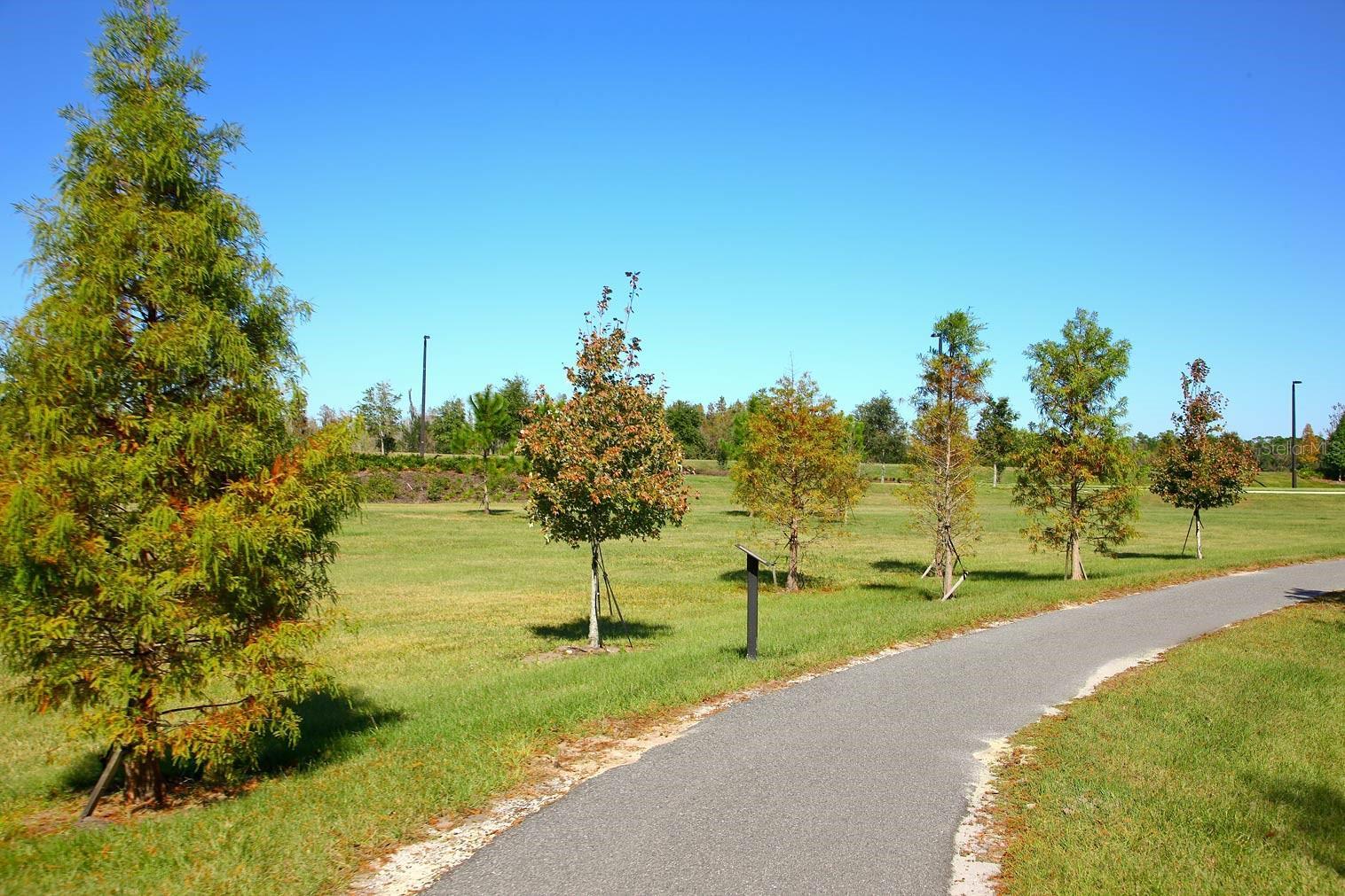 Photo #44