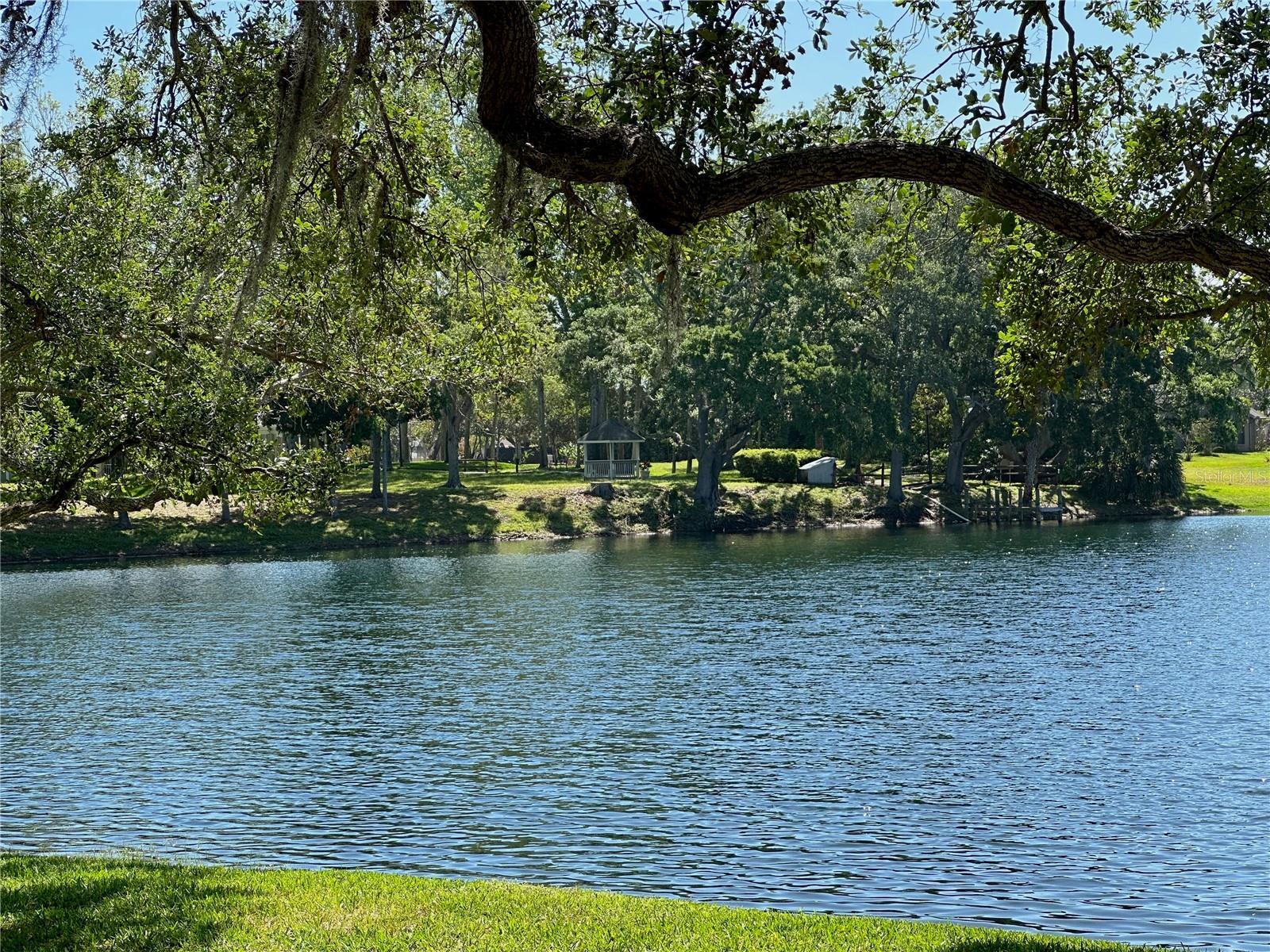 Photo #42