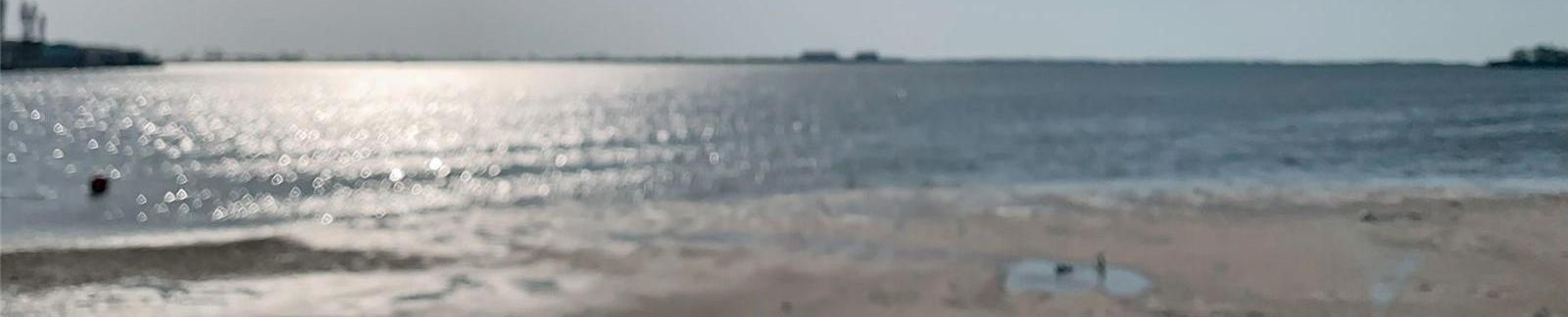 Photo #48