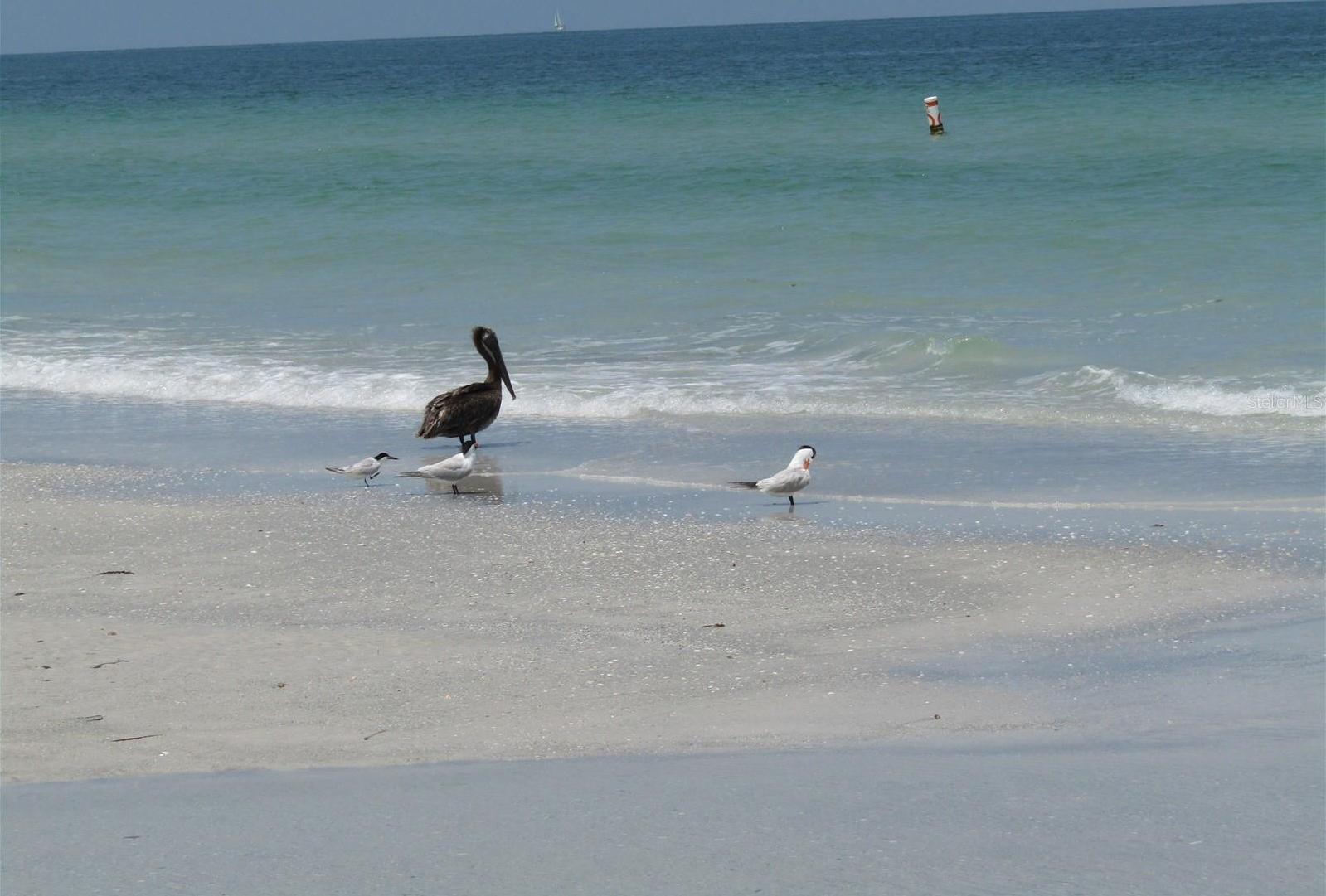 Photo #41