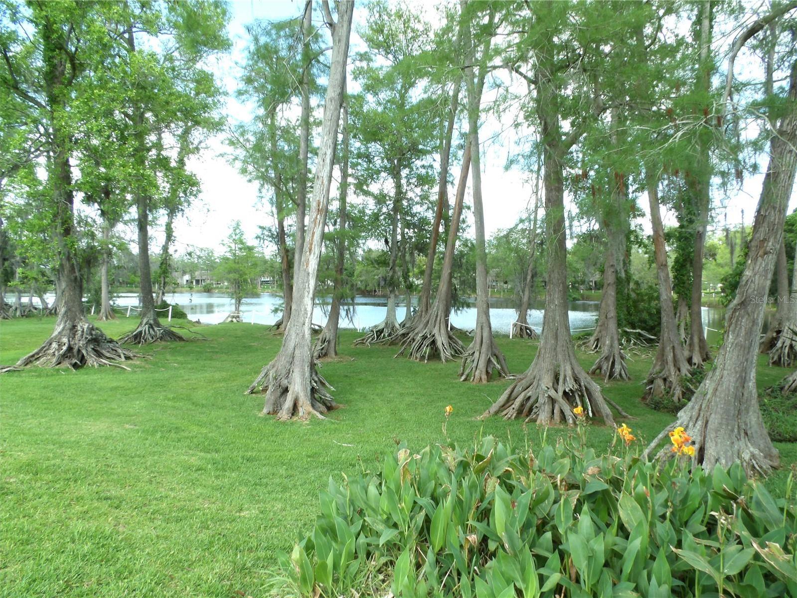 Photo #14
