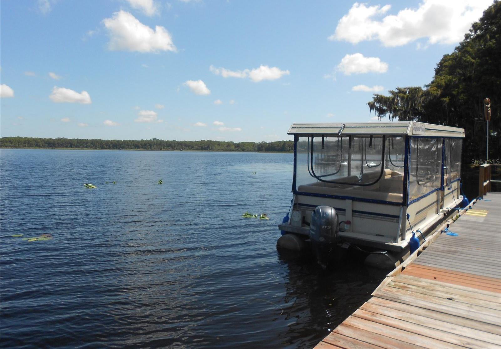 Photo #42