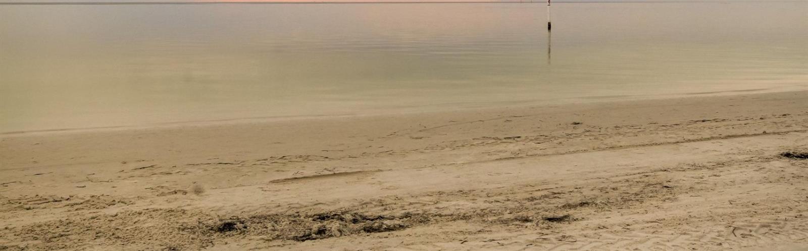 Photo #51