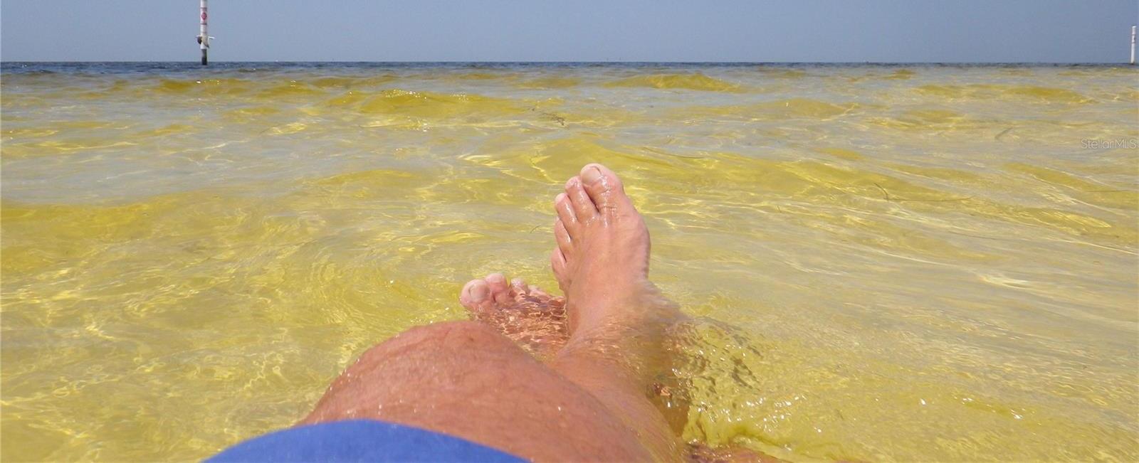 Photo #31