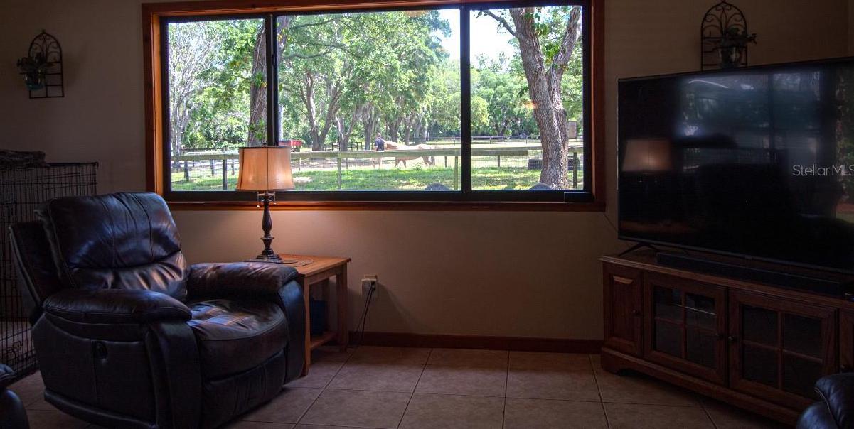 Photo #41