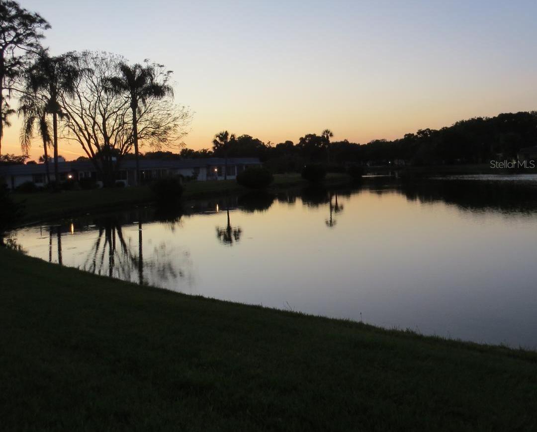 Photo #42