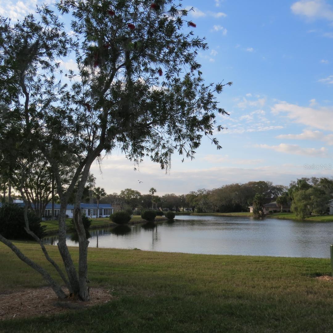 Photo #41