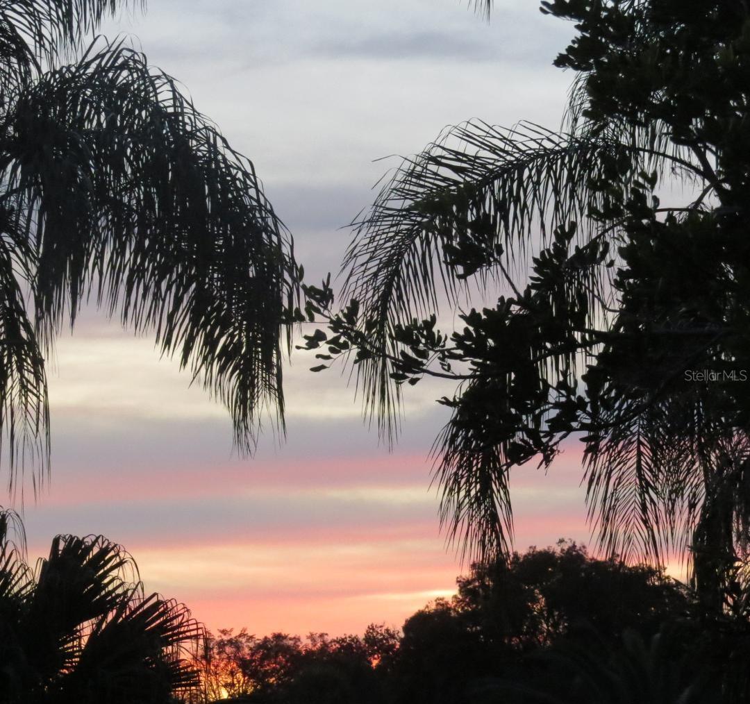 Photo #40