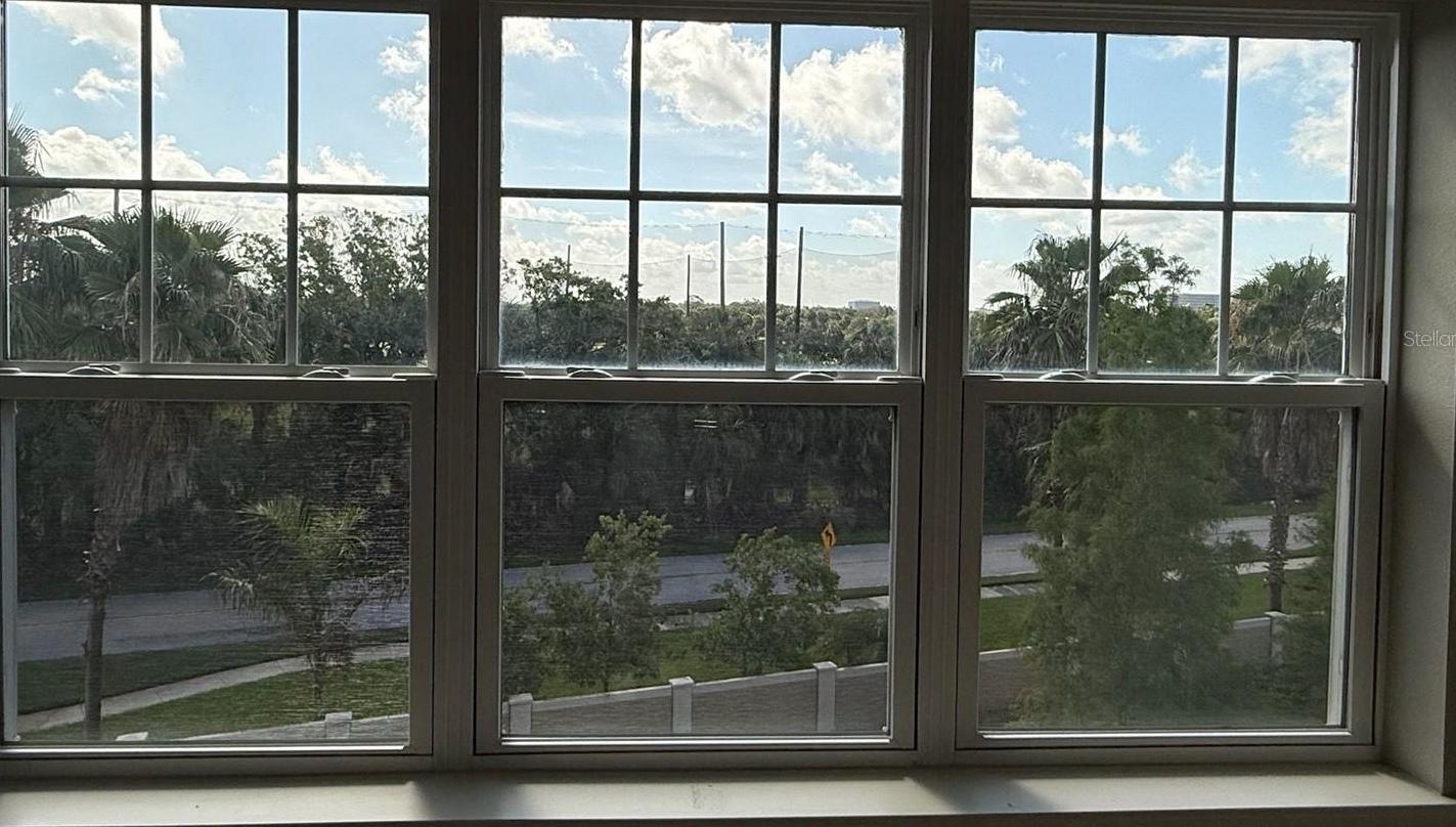Photo #38