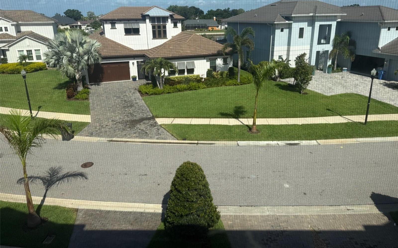 Photo #41