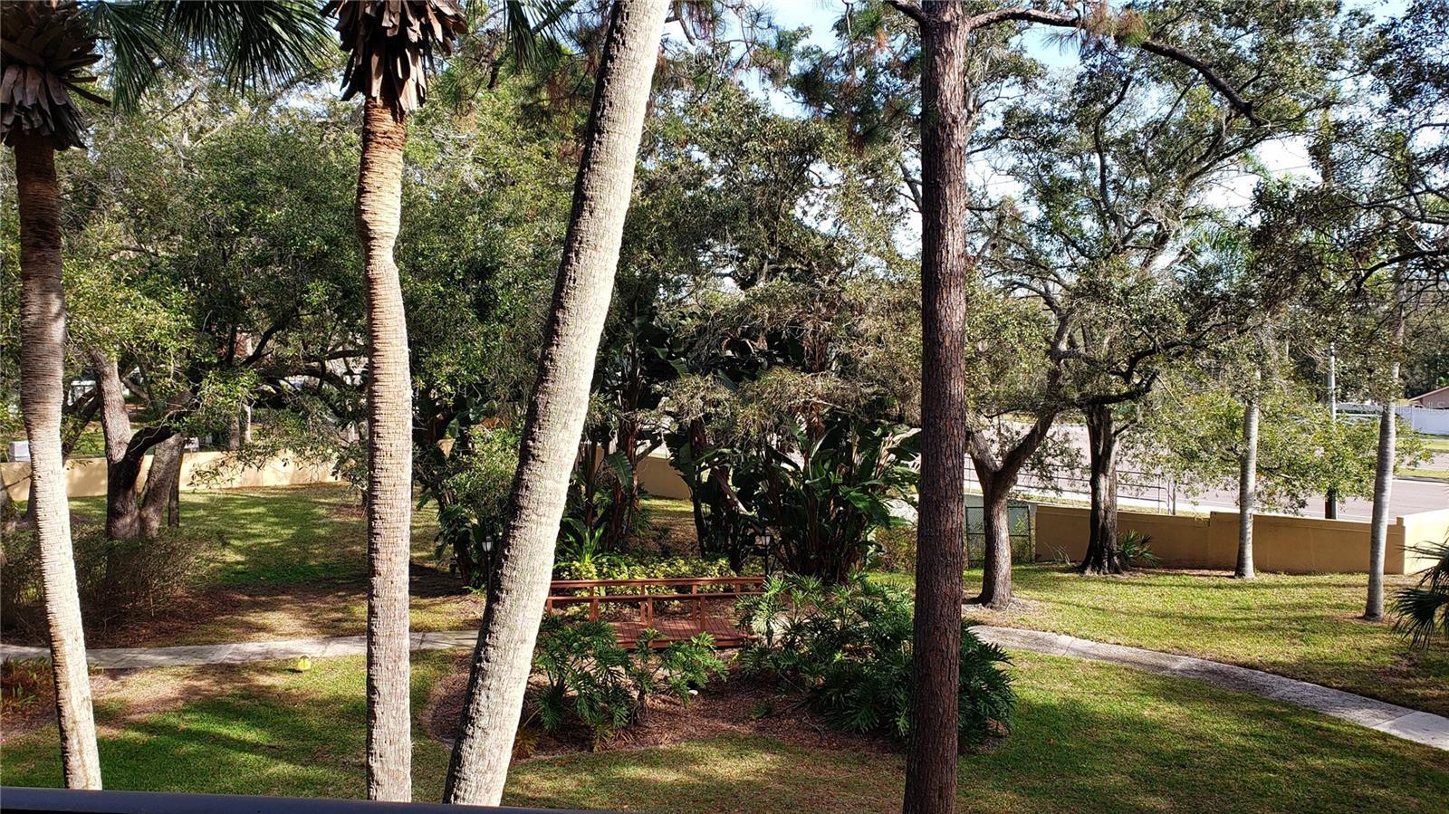 Photo #46