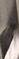 Photo #10