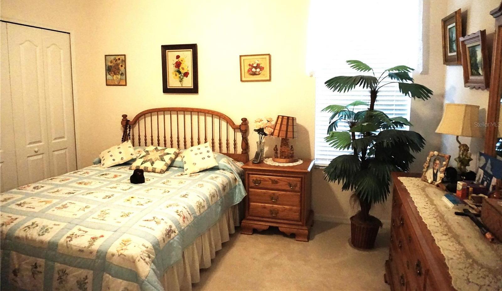 Photo #17