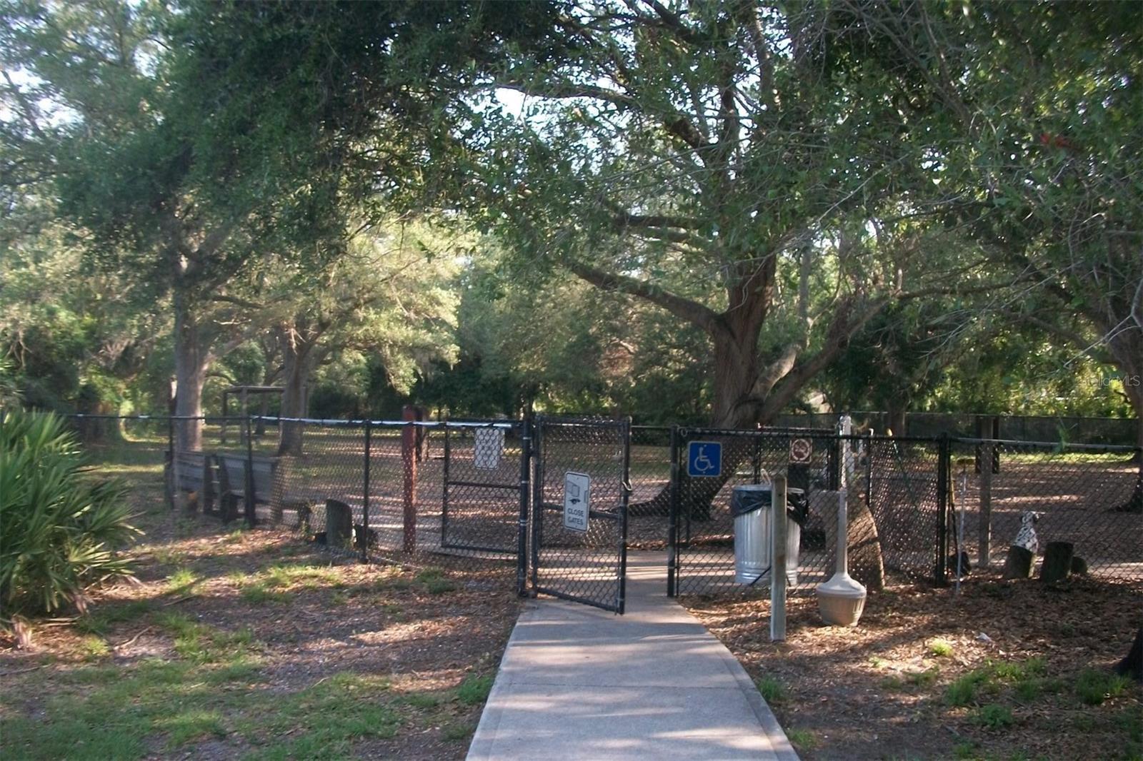Photo #41