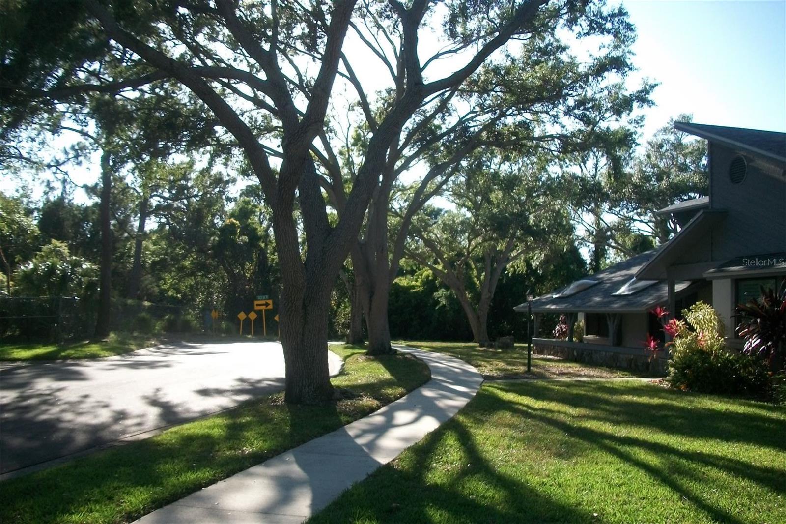 Photo #3