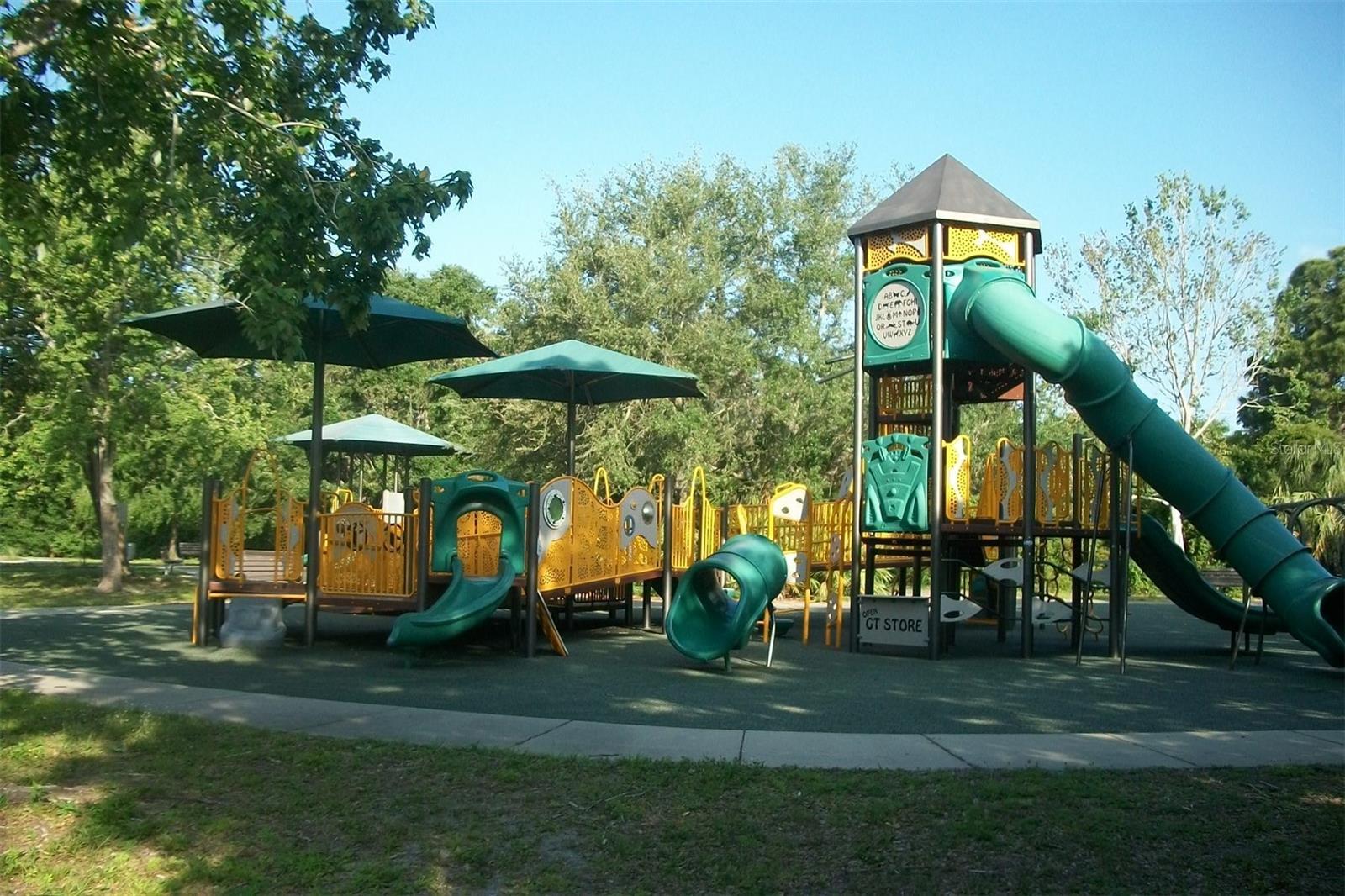 Photo #36