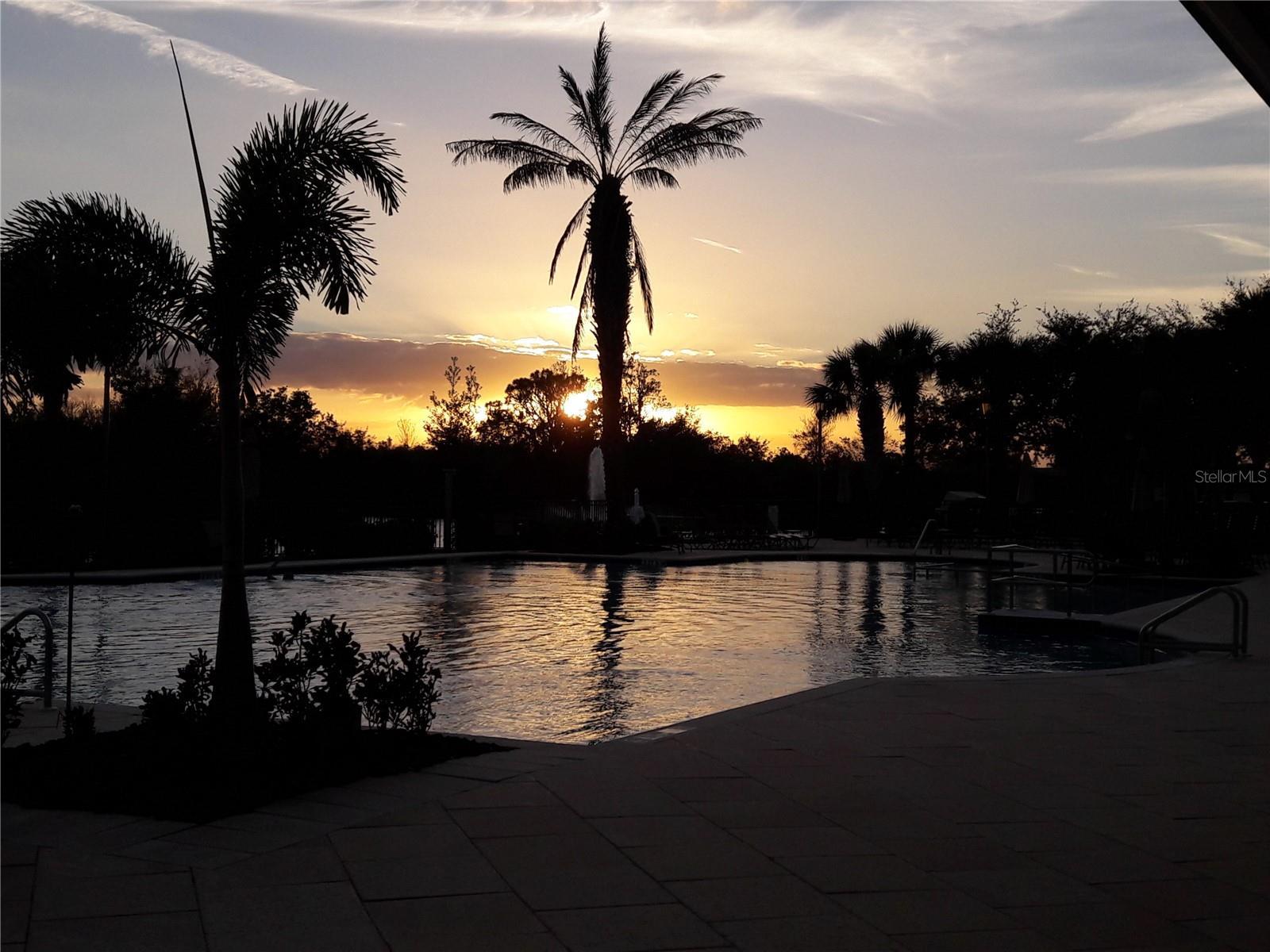 Photo #73