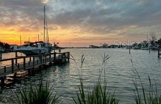 Photo #14