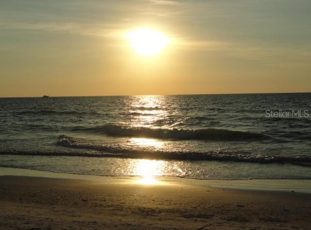 Photo #42