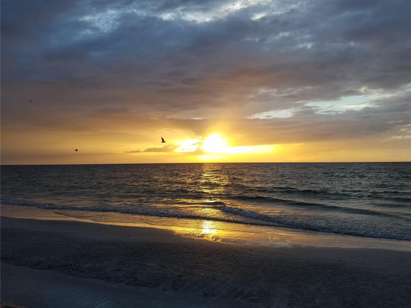 Photo #43