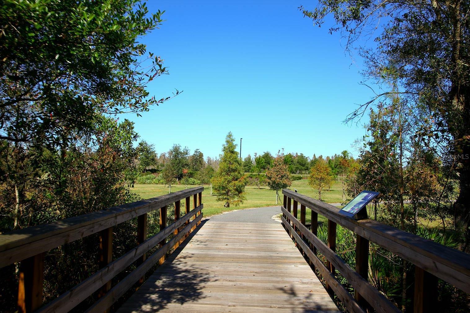 Photo #38