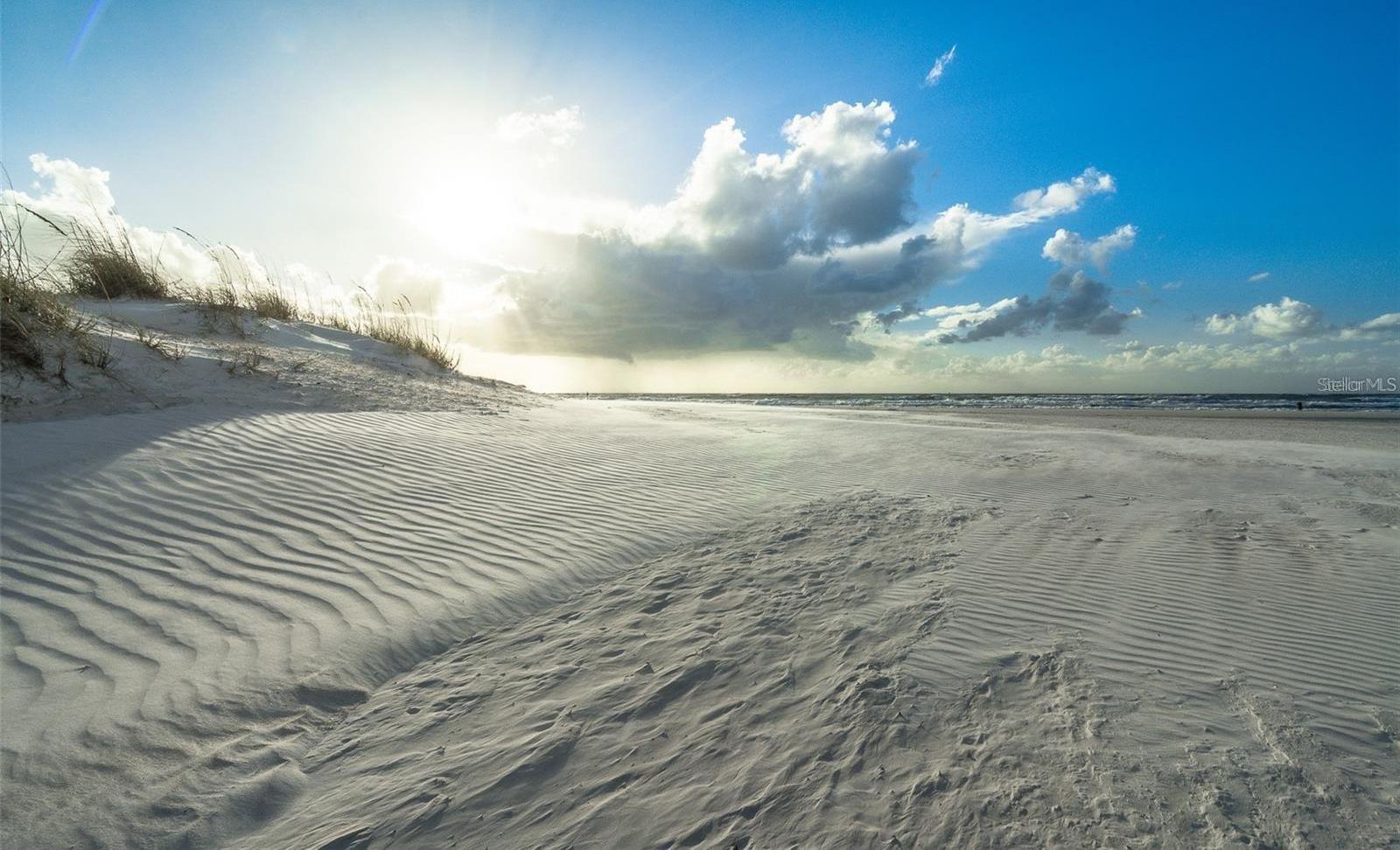Photo #18