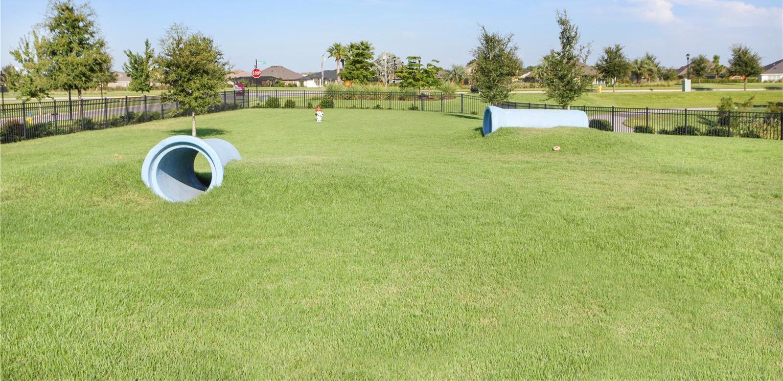 Photo #63