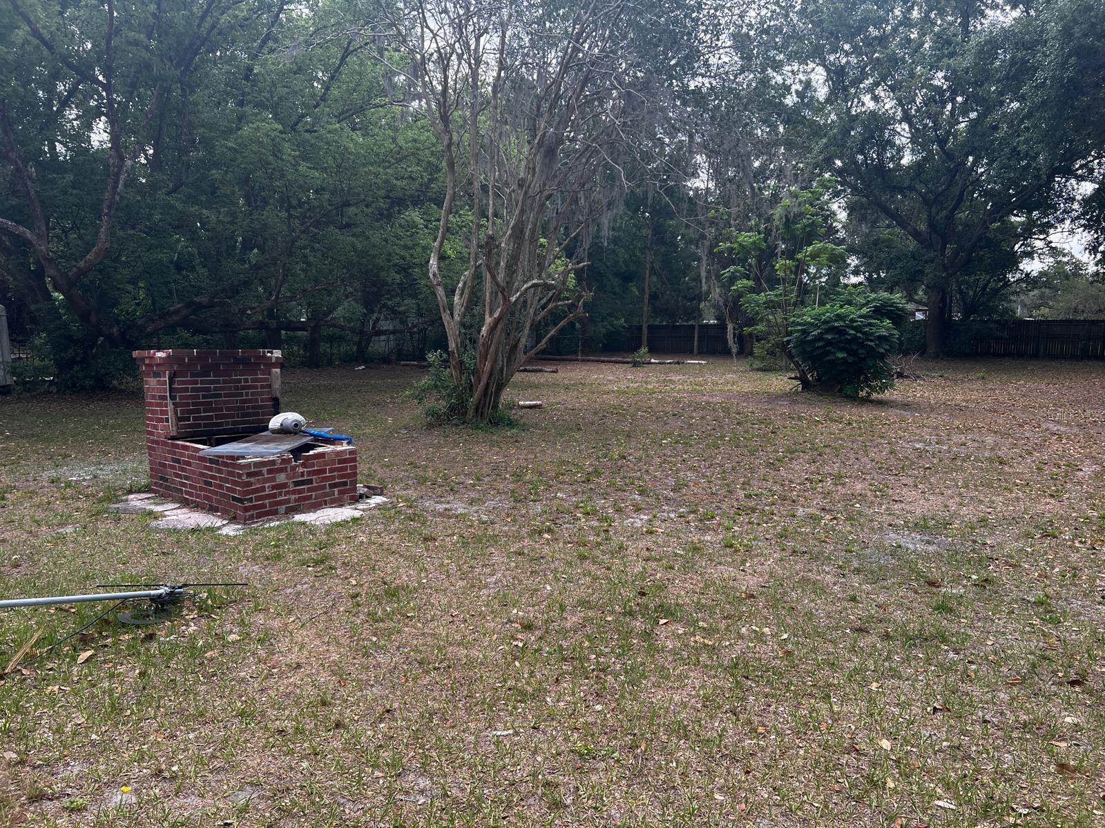 Photo #5