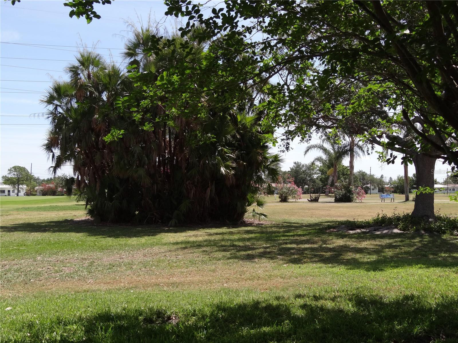Photo #28